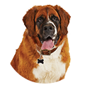 Northfield Veterinary 4