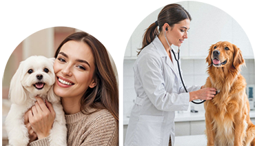 Northfield Veterinary 6