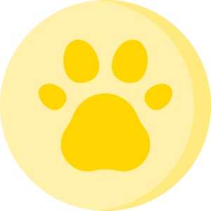 Veterinary Internal Medicine 1