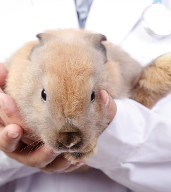Northfield Exotic Animal Clinic