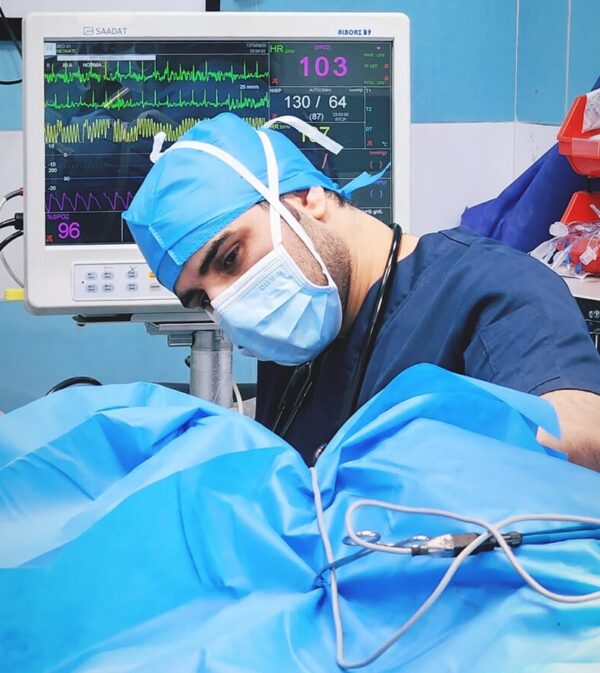 Northfield Veterinary Emergency and Critical Care in Dubai provides Veterinary Anesthesia and Pet Pain Management