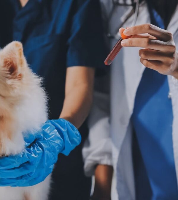 Vet Lab-1 Vet Lab-1