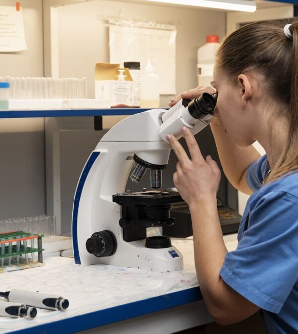 Vet Lab-4 Northfield Veterinary Laboratory (24/7)