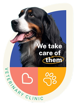 Pet Neutering 1 Pet Neutering 1