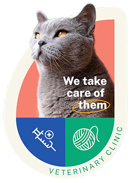 ID Cards and Microchips 1