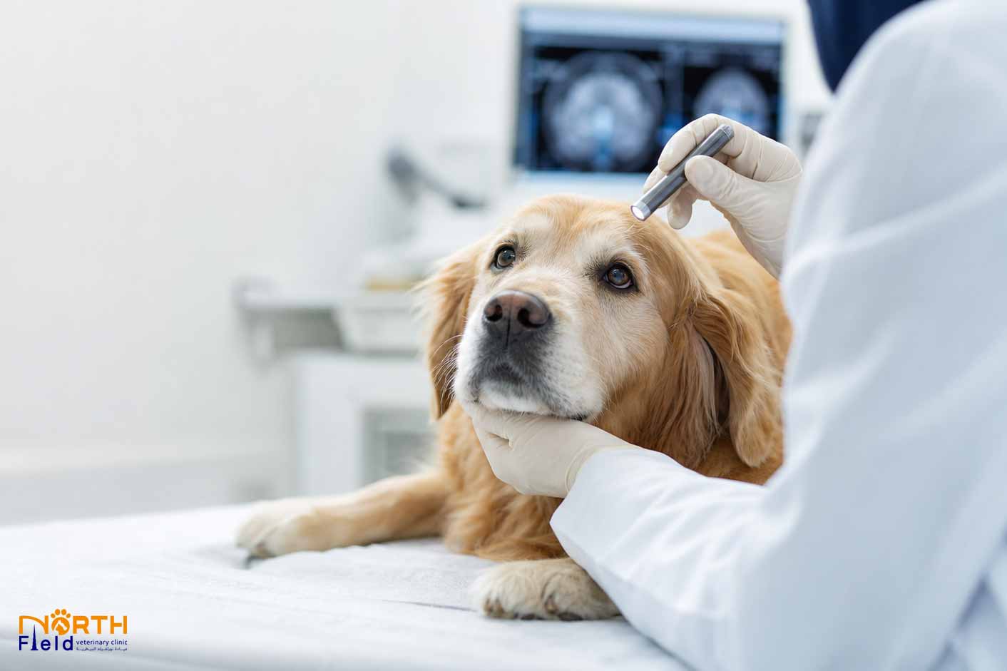 seizure treatment