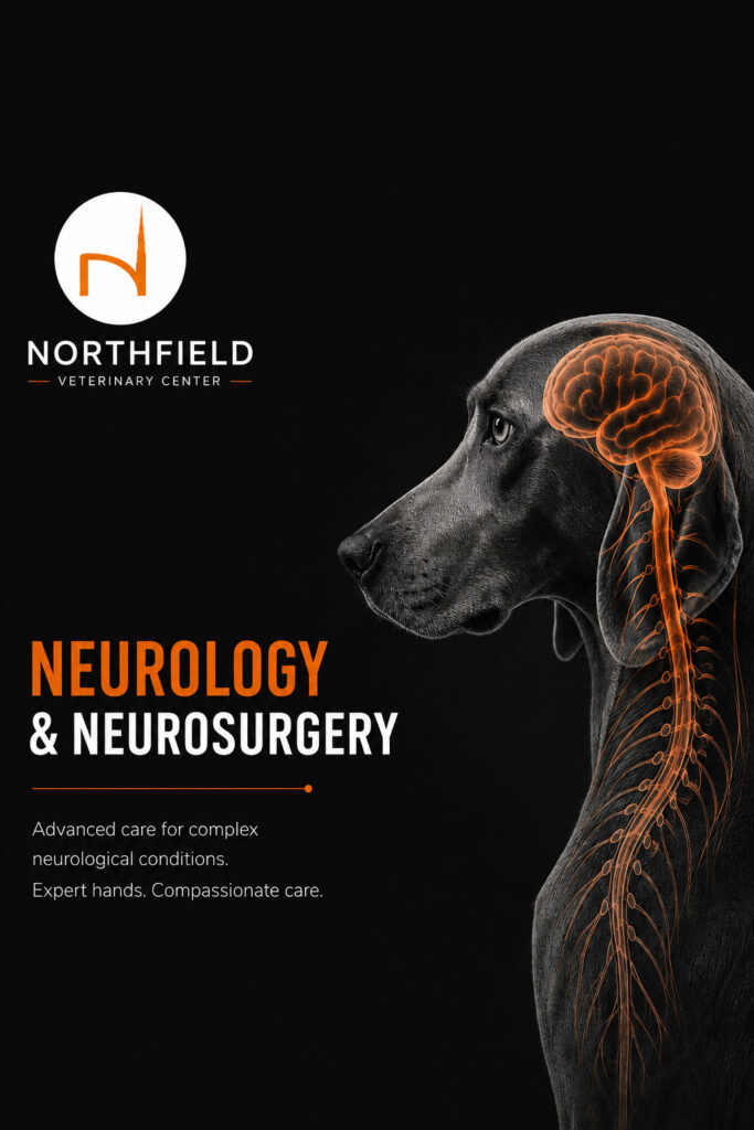 Seizure Treatment in Pets: What Is Our Goal? 3 neurology and neurosurgery northfield clinic